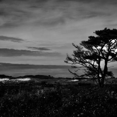 Landschap