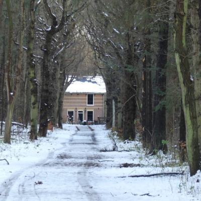 Gerard Duinen Heemskerk