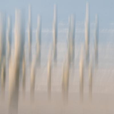 Icm Bewust Bewogen Foto