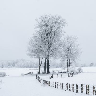 Marjon Sneeuwlandschap 