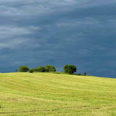 Marijke Landschapingroenenblauw