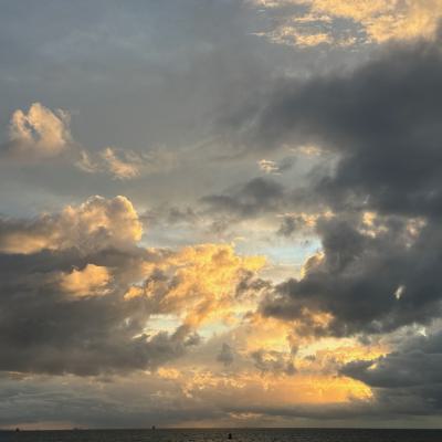 Marijke Vlissingen Sept.2025jpeg