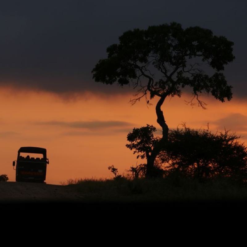 Wendy Zuid Afrika Zonsopgang Safari