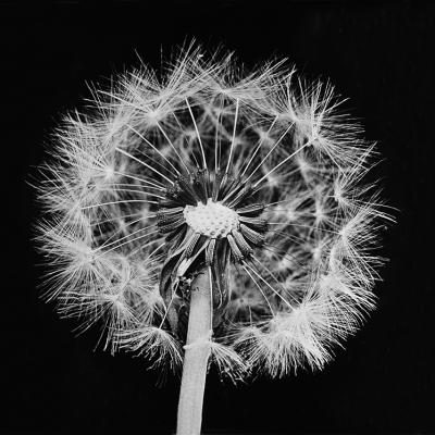 Annemiek Zoetmulder 01