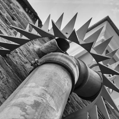 Annemiek Zoetmulder 06