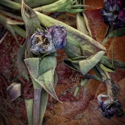 Tulpen Exit
